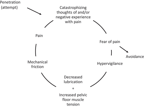 Figure 1. Anxiety-pain circle by Spano and Lamont (Citation1975) and ter Kuile and Weijenborg (Citation2006).