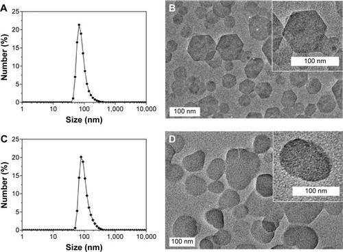 Figure 3 The particle size distribution and the high-resolution transmission electron microscopy images of (A and B) pristine LDH and (C and D) LDH-MTX in DMEM with 10% FBS, respectively. The inset images (B and D) correspond to the enlarged images for pristine LDH and LDH-MTX, respectively.Abbreviations: DMEM, Dulbecco’s Modified Eagle’s Medium; FBS, fetal bovine serum; LDH, layered double hydroxide; LDH-MTX, layered double hydroxide-methotrexate.