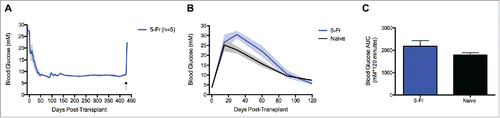Figure 1. Long-term (>365 d) glycemic control and function of subcutaneous DL syngeneic islet grafts. (A) Non-fasting blood glucose measurements of euglycemic islet recipients (n = 5). Glucose homeostasis was maintained until graft excising 427 d post-transplant (arrow). (B) Blood glucose profiles post-glucose bolus during intraperitoneal glucose tolerance tests conducted on DL recipients 365 d post-transplant (5-Fr DL recipients: blue, n = 5) and on naïve non-diabetic control mice (naïve controls: black, n = 3). (C) Blood glucose area under the curve (AUC: mM*120 mins) analysis did not differ between control and DL recipients (p > 0 .05, 2-way unpaired t-test). Mice were administered 3 mg/kg 25% dextrose i.p. Blood glucose measurements were monitored at 0, 15, 30, 60, 90 and 120 min.