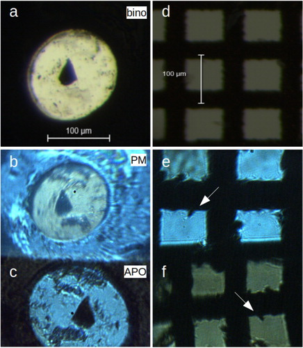 Figure 3. Photographs of a sample in the DAC (a–c) and a sample carrier grid (d–f), recorded with a Leica M205 binocular (a,d), and in the LH system with the PM (b,e) and with the apochromatic objective (c,f). (a–c) A triangular piece of Pt foil (ca. 30×25μm2) in NaCl in a DAC, before pressurization. The sample chamber is approximately 130 μm in diameter, see scale bar in (a). (d–f) A transmission electron microscope sample carrier grid of 100 μm periodicity. Arrows in (e,f) are for orientation and indicate the same object.