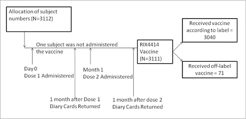 Figure 1. Study design.