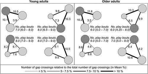 Figure 8. For both young and older adults clockwise from the upper left: the H configuration, H-GW-S configuration, H-GW configuration, and H-S configuration (hatched circle represents the higher stone). Next to each gap we present the average number of crossings as a percentage of the total number of gap crossings (number of times the gap was crossed/ total number of gap crossings * 100)Footnote3. The thicker the line of the gap, the more frequently the gap was crossed. In addition, the medians and interquartile ranges of the number of play bouts are presented for each configuration.