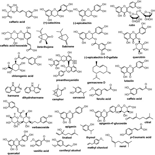 Figure 3. Structures of a range of phytochemicals identified in grapes, A. genevensis, O. basilicum species, T. serpyllum L. silverberry, P. spinosa L., T. polium, and Artemisia species (see the text for details).