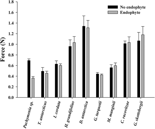 Fig. 4. Force required to penetrate thallus material with or without endophyte presence in nine species of Antarctic macroalgae (paired t-test, means ± SE).