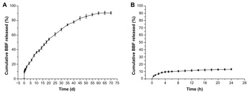 Figure 10 In vitro release curves for BBF from antibacterial coating containing BBF-loaded poly(L-lactic acid) nanoparticles on microarc-oxidized titanium. (A) Experimental points over the complete time assay. (B) First 24 hours for the release study (n = 3).Abbreviation: BBF, (Z-)-4-bromo-5-(bromomethylene)-2(5H)-furanone.