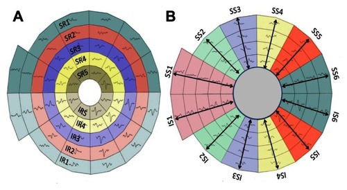 Figure 2 The five allocated hemi-rings and their corresponding fellows in both hemispheres (A). The allocated six sectors and their corresponding fellows in both hemispheres (B).