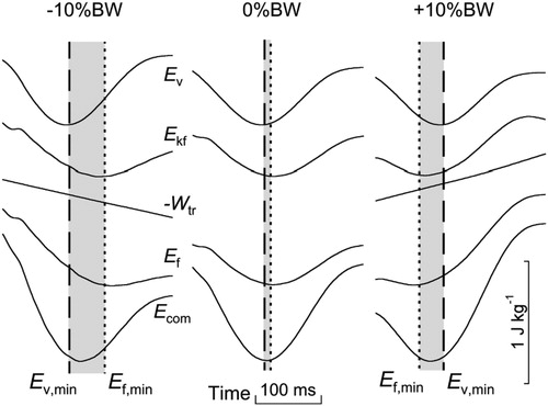 Figure 1. Typical mass specific energy-time curves of the COM during the contact phase of one participant running at 3.33 m s−1 without (0% BW) and with a traction force, hindering (+10% BW) or aiding (–10% BW) the runner. The dashed and dotted lines represent the minimum of the Ev-curve (Ev,min) and of the Efcurve (Ef,min), respectively. The grey zone corresponds to the period during which an energy exchange between Ev and Ef occurs. For other symbols, see text.