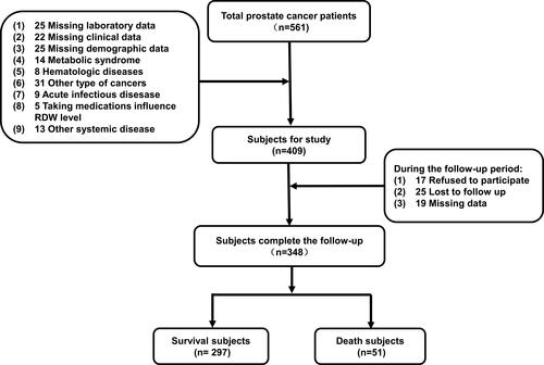 Figure 1 The study cohort flow diagram.