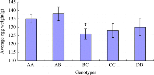 Figure 7.  The average egg weight (g) in different genotypes. The data are expressed as Means±SD. Asterisks indicate level of significant differences between different genotypes (*p<0.05).