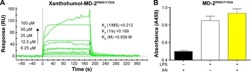 Figure 6 XN shows low binding affinity to the MD-2R90A/Y102A mutant.