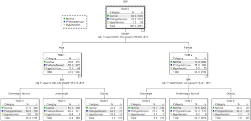 Figure 1. SBP decision tree for Yunnan university students.