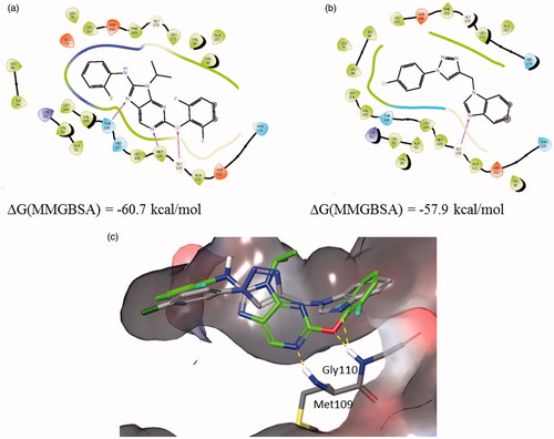 Figure 5. Binding interactions of (a) 2GTN X-ray structure with purine like ligand, (b) 12b docked into 2GTN protein structure, and (c) structures from a and b superimposed within the active site pocket (green-2GTN ligand).