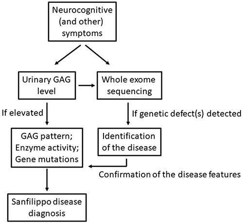 Figure 1 Summary of recommended diagnostic procedures to identify Sanfilippo disease.