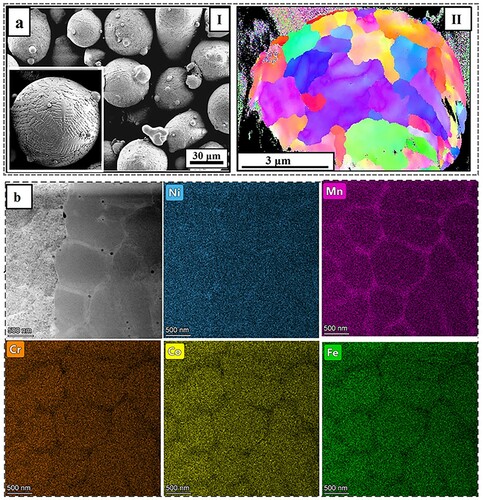 Figure 1. Characterization of the FeCoNiCrMn powder used in this work. (a) Surface morphology and EBSD IPF map showing the cross-sectional grain structure of a particle, and (b) HADDF and EDS mapping of a starting powder cross-section showing segregated elements in the boundaries of cell structures [Citation17].