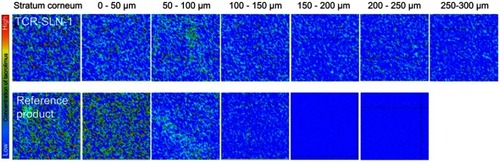 Figure 7 FT-IR imaging of the stratum corneum and skin at different depths after in vivo skin penetration test using the reference product and TCR-SLN-1.