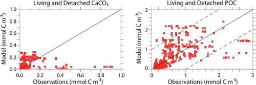 Fig. 9 Regression between modelled and observed CAL CaCO3 concentration (left panel) and CAL POC concentration (right panel) from the ocean surface to 1000 m depth. Data are in situ measurements from Lam et al. (Citation2011).