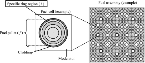 Figure 2. Radially sub-divided fuel rod.