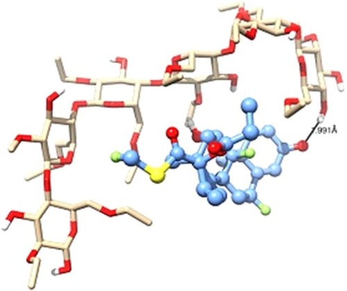 Figure 9 Ethocel®-FLU complex showing Ethocel chain wrapped around the FLU with a hydrogen bonding interaction between the drug (ball and sticks) and polymer (sticks).