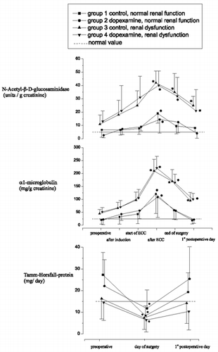 Figure 2. Changes in excretions of N-acetyl-β-D-glucosaminidase, α1-microglobulin, and Tamm-Horsfall-protein in urine.