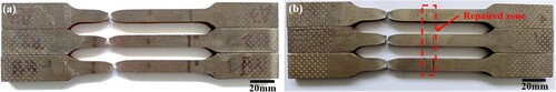 Figure 13. Fracture location of the tensile test specimens, (a) substrates and (b) repaired specimens.