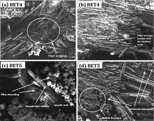 Figure 9. SEM images of BET4 and BET5 laminate.