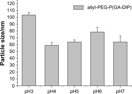 Figure 5 Particle sizes of DOX and SPION-loaded allyl-PEG-P(GA-DIP) micelles at pH 3.0–7.0.Abbreviations: allyl-PEG-P(GA-DIP), allyl-poly(ethylene glycol)-b-poly[N-(N′,N′-diisopropylaminoethyl) glutamine]; DOX, doxorubicin; SPIONs, superparamagnetic iron oxide nanoparticles.