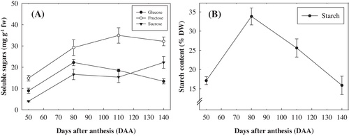 Fig. 2 Changes in soluble sugar contents (A) and starch content (B) of mango fruits cv. Jinhwang harvested at 50, 80, 110 and 140 days after anthesis (DAA). Each value is the mean of four replications and vertical bar indicate the standard error.