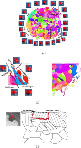 Figure 7. Analysis of crystallographic orientation of the corrosion attack where red dashed lines indicate the trace of basal planes and black lines the prismatic planes. (a) EBSD orientation analysis for all the exposed grains showing the relation between corrosion and orientation, (b) Trace analysis reveals that corrosion develops preferentially on non-basal planes leaving ‘edges/blades’ lying perpendicular to [0001], (c) schematic representation showing preferential surface attack, as well as the formation of deep pits (red lines) similar to that shown inset (region from Figure 4a).
