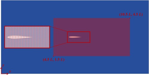 Figure 4. The sampling area around the fish body.