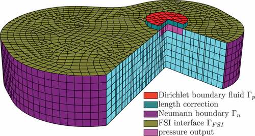 Figure 5. Meshed fluid.