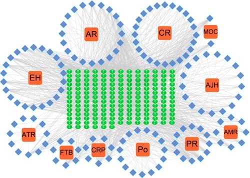 Figure 1 Compound–target network (C–T network).