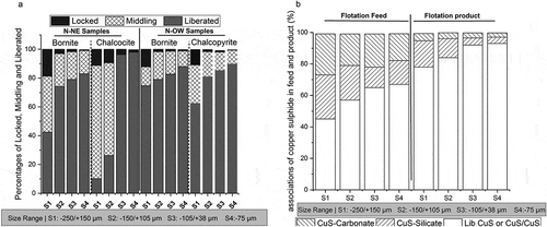 Figure 1. (a) Percentage of Liberated, middling and locked sulfides minerals in N-NE and N-OW samples. (b) Modal analysis of flotation product stream.