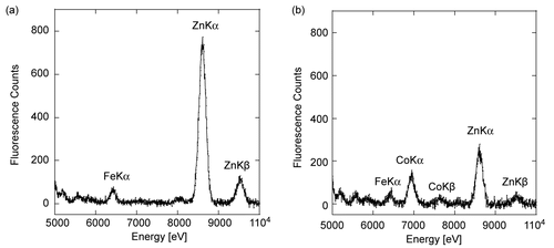 Figure 2.  X-Ray Fluorescence spectrum of recombinant Zn-PTE and Co-PTE. XRF spectrum for energy between 5 and 10 KeV of 0.1 mM Zn-PTE (a) and 0.1 mM Co-PTE (b).