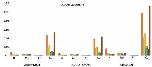 Figure 4. Hazard quotient for all studied metals in each sample across age classification