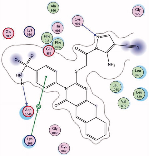 Figure 11. 2D interaction of compound 22 inside the active site of 3U6J.