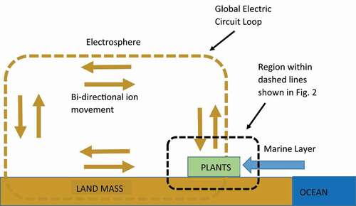 Figure 1. Ion movement due to the global electric circuit and the marine layer. The global electric circuit is a loop of ion movement between the electrosphere and the land mass. The marine layer is mass of ions moving inland from the ocean to the coastal land mass. These ions can be positive or negative polarity.