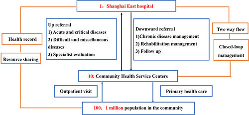 Figure 2 “1+10+100” mode of local medical consortium.