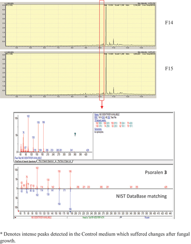 Figure 6. (Continued).