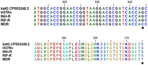 Figure 7 Sequence alignment of katG for MTB with different drug resistance profiles. *In the upper part indicates the location of the nucleotide mutation and *in the lower part indicates amino acid substitutions of MDR.