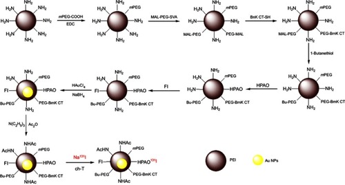 Figure 1 Preparation of BmK CT-Au PENPs-131I.Abbreviations: PEI, polyethylenimine; Au NPs, gold nanoparticles; mPEG-COOH, carboxyl-terminated methoxy PEG; EDC, 1-ethyl-3-(3-dimethylaminopropyl) carbodiimide hydrochloride; MAL-PEG-SVA, maleimide-PEG-succinimidyl valerate; BmK CT, Buthus martensii Karsch chlorotoxin; FI, fluorescein isothiocyanate; HPAO, 3-(4′-hydroxyphenyl)propionic acid-OSu; ch-T, chloramine-T trihydrate; BmKCT-Au PENPs-131I, 131I-labeled BmK CT modified polyethylenimine-entrapped gold nanoparticles; NaBH4, sodium borohydride.