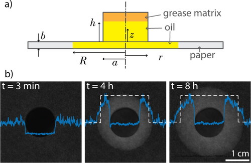 Fig. 2. a) A schematic representation of the test configuration (not to scale). b) Top-view snapshots of CaS/MS grease during bleeding. Dark circle in the center: the grease patch; solid blue lines: intensity contrast (I/Ibg) profile of the oil stain; dashed blue lines: the effective intensity contrast profile