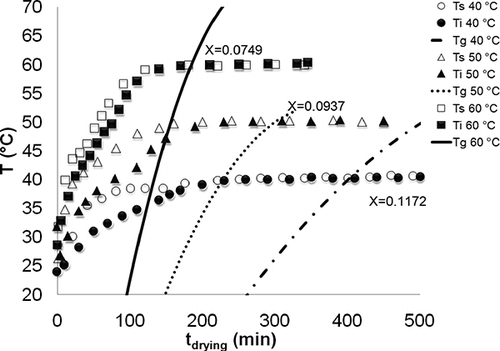 Figure 6 Glass transition temperature, surface temperature, and inside temperature for garlic slices during drying.