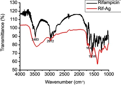 Figure 7 FTIR spectra of rifampicin and rifampicin conjugated silver (Rif-Ag) nanoparticles.