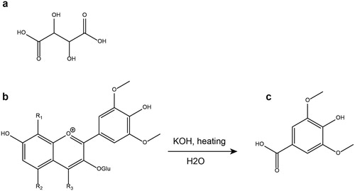 Figure 1. Structures of the main molecules reported in the literature to identify the wine in archaeological vessels: tartaric acid (a) and syringic acid (c) formed from the alkaline treatment of malvidin-3-glucoside polymers (b). Adapted from Guasch-Jané et al. (Citation2004).