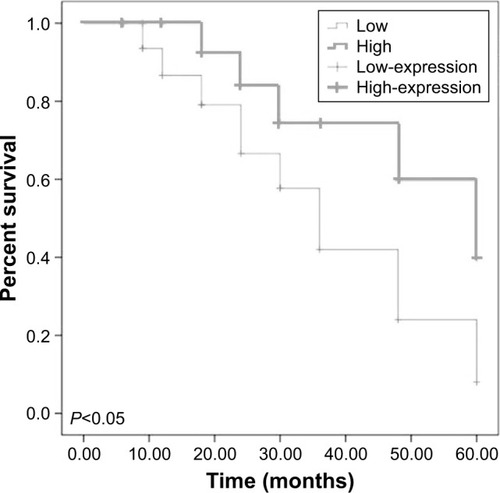 Figure 6 The association between SDPR-AS expression and prognosis of RCC patients.