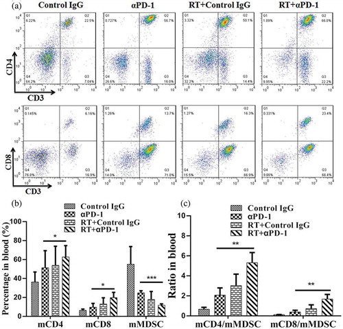 Figure 5. Combination therapy induces increases in both CD4+ and CD8+ T cells.(A) Representative flow cytometry plots showing the percentage increases in CD3+, CD4+, and CD8+ T cells in the blood. (B) Cumulative results of CD3+, CD4+, CD8+ T cells, and MDSCs in the blood. (C) Ratios of CD8+and CD4+ T cells to MDSCs in the blood. Representative results from 3 independent experiments with 5 mice/group. *P < 0.05; **P < 0.01; ***P < 0.001. RT, radiotherapy.