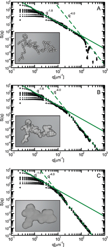 Figure 3. Structure factor S(q) of bare and coated aggregates. Aggregates were simulated in the range N = 30–4000. In (a), the S(q) of bare simulated aggregates show a Df = 1.8 for q−1 < a; beyond this size, S(q) exhibits a power-law exponent of −4 which is characteristic of a spherical three-dimensional monomer. For the partially coated (b) and embedded (c) aggregates, the crossover from −1.8 to −4 moves to smaller q values due to the increase in effective monomer size with coating. The key point to note in these plots is the existence of the −1.8 slope for even the extremely coated (embedded) aggregates.