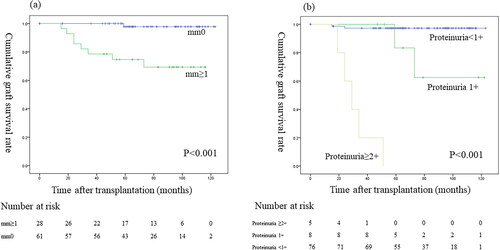 Figure 4. Graft survival between (a) mm < 1 and mm ≥ 1; (b) proteinuria < 1+, proteinuria 1+, and proteinuria ≥ 2+.