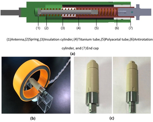 Figure 1. (a) Internal structure of the prosthesis. (b) Prosthesis placed in the center of the magnetic generator. (c) Prosthesis before and after extension.