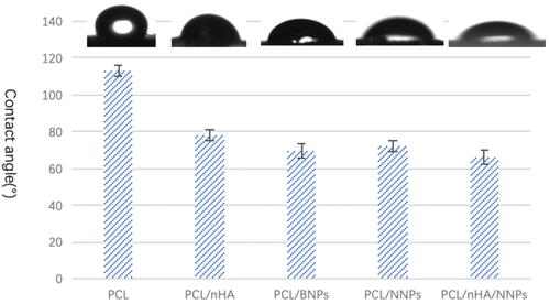 Figure 5 Contact angle of electrospun fibers in different group with images inserted on the top.